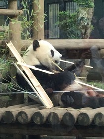 上野動物園