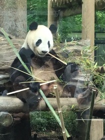 上野動物園