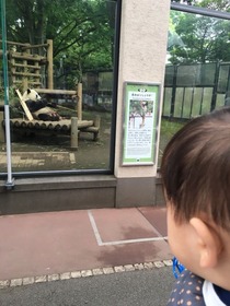 上野動物園