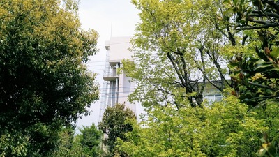 IMG_20170501_105543