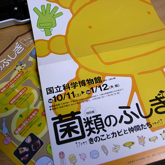081013-1.jpg