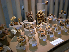 081013-6.jpg