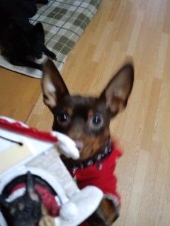 おやつ!?