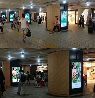 モリンダの広告