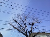 2b5a4d00.jpg