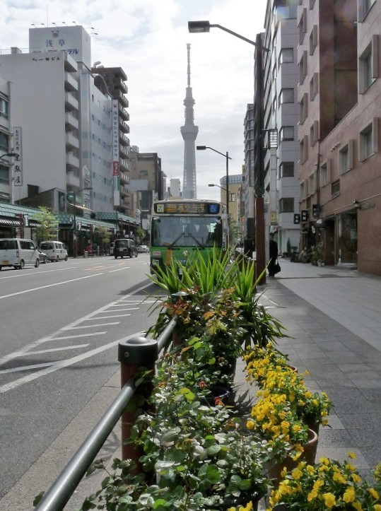 スカイツリ−が見える風景