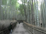 嵐山