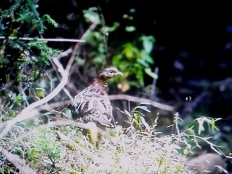 IMG_20181029_233133