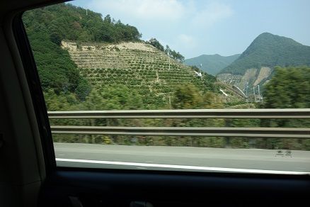 DSC02095