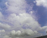 876d923e.jpg
