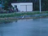 a2da0095.jpg
