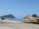2013ǯͳÎɳ¤´ß