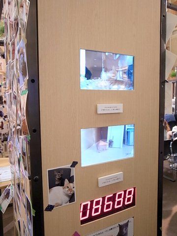 RIMG0028-018