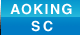 AOKING_SC