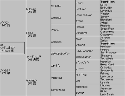 シンボリルドルフ5