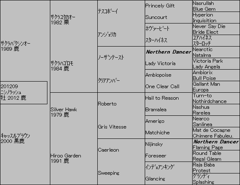 ニシノラッシュ5代血統表