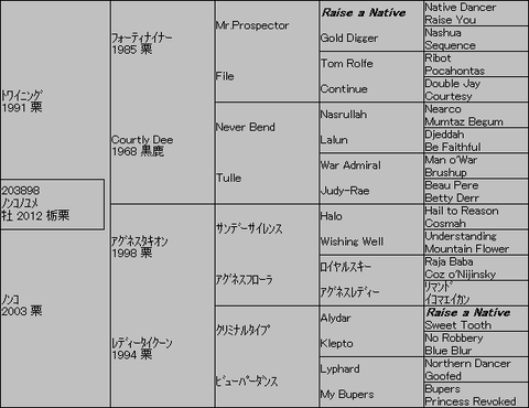 ノンコノユメ5代血統表