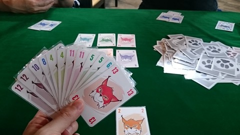 アブルクセン9