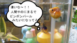 BlogPaint