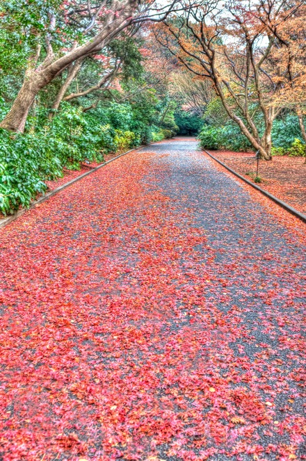 4B2K1396_7_8_tonemapped