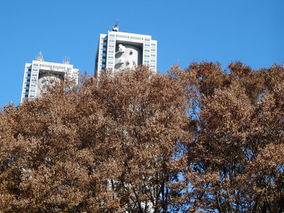 DSC00616