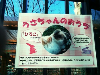 IMG_20150227_092331~2