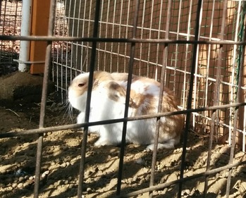 IMG_20150227_092259~2