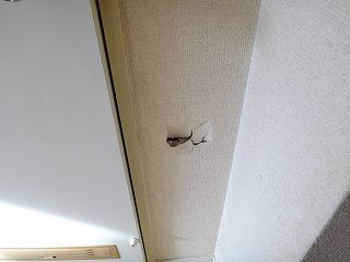 DSC08500