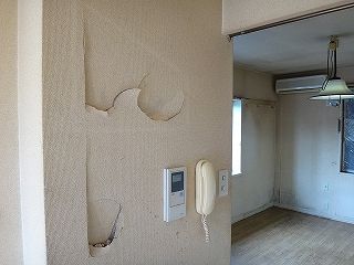 DSC08499