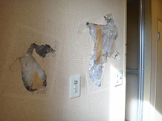 DSC08493