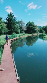 line_1504315726294