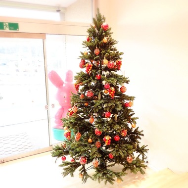 2016-12-24-11-29-36