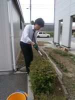軽快に♪サツキの剪定
