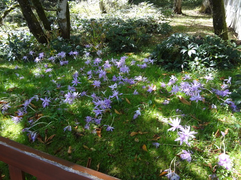 DSC00634