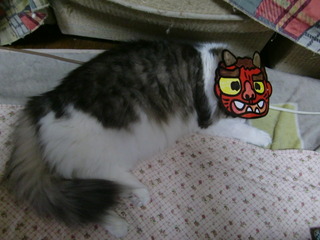 �ѥ륫
