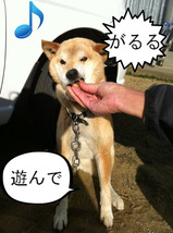 Kai-chan