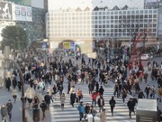shibuya