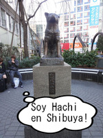 Hachi del perro fiel