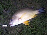 okifue20110508