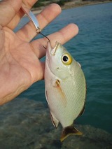 mimija20110424