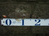 20120201kochi2