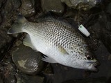 mikiyu20110520