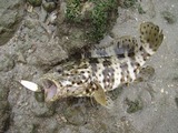 mibai20110521-5