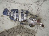 mibai20110521-8