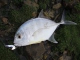 mekki20110427