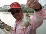 joe-mekki20110521