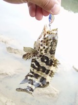 mibai20110506-1