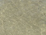 mijun20110604