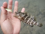 mibai20110521-2