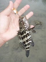 mibai20110521-6